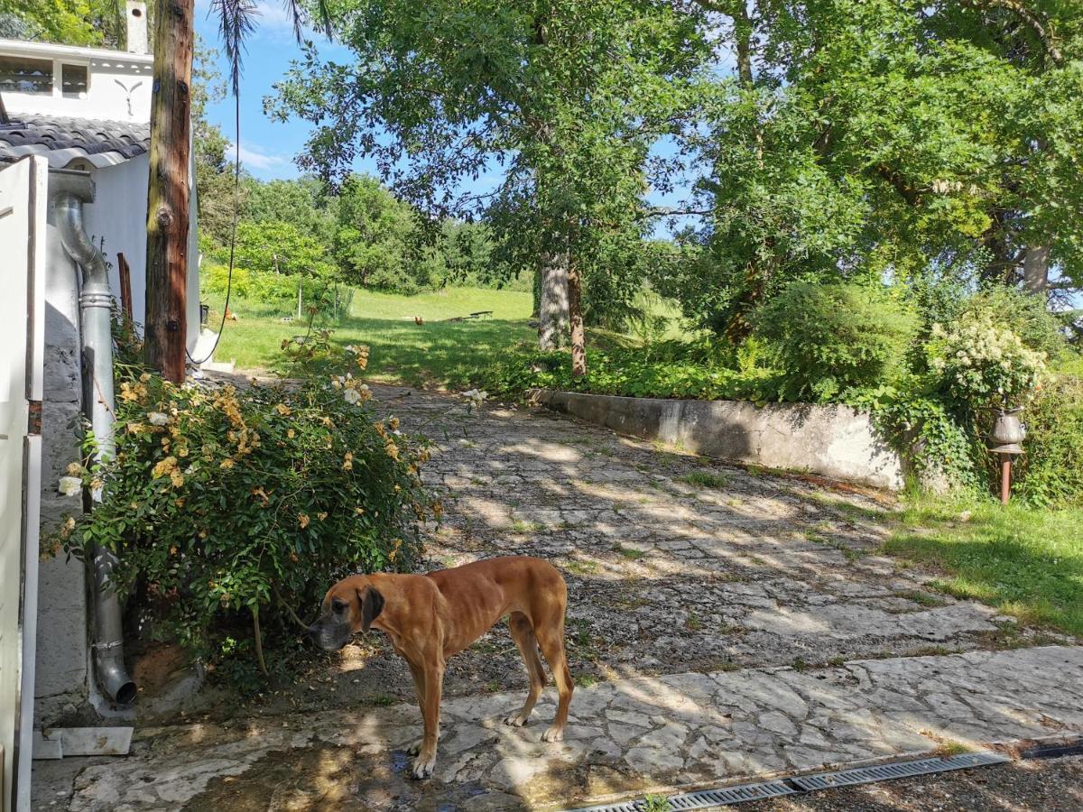 Le Marchon Ferienwohnung Bazens Exterior foto